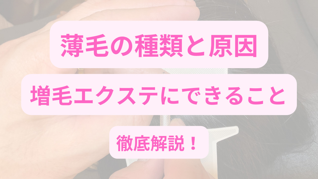 薄毛の種類と原因 増毛エクステにできる事